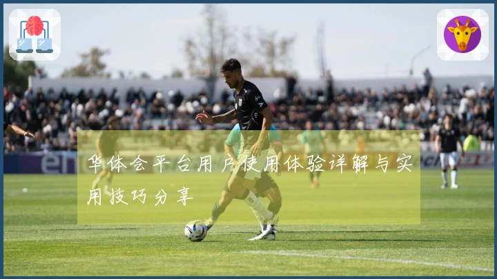 华体会平台用户使用体验详解与实用技巧分享