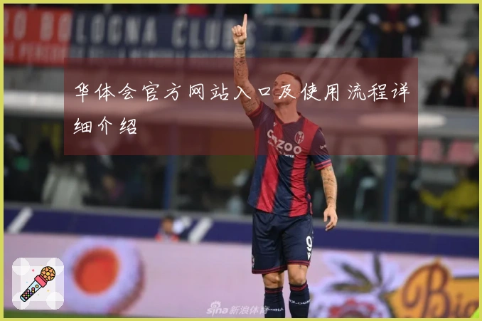 华体会官方网站入口及使用流程详细介绍