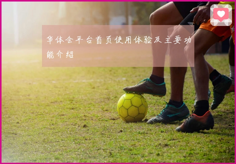 华体会平台首页使用体验及主要功能介绍