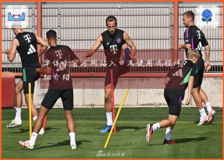 华体会官方网站入口及使用流程详细介绍